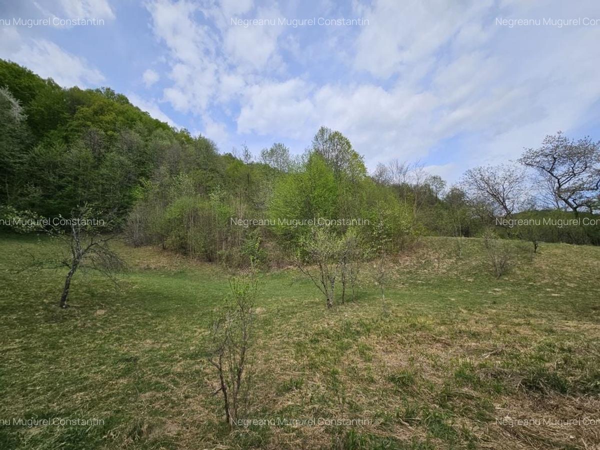 Teren intravilan 1454 mp la marginea padurii zona locuita de case! - 9