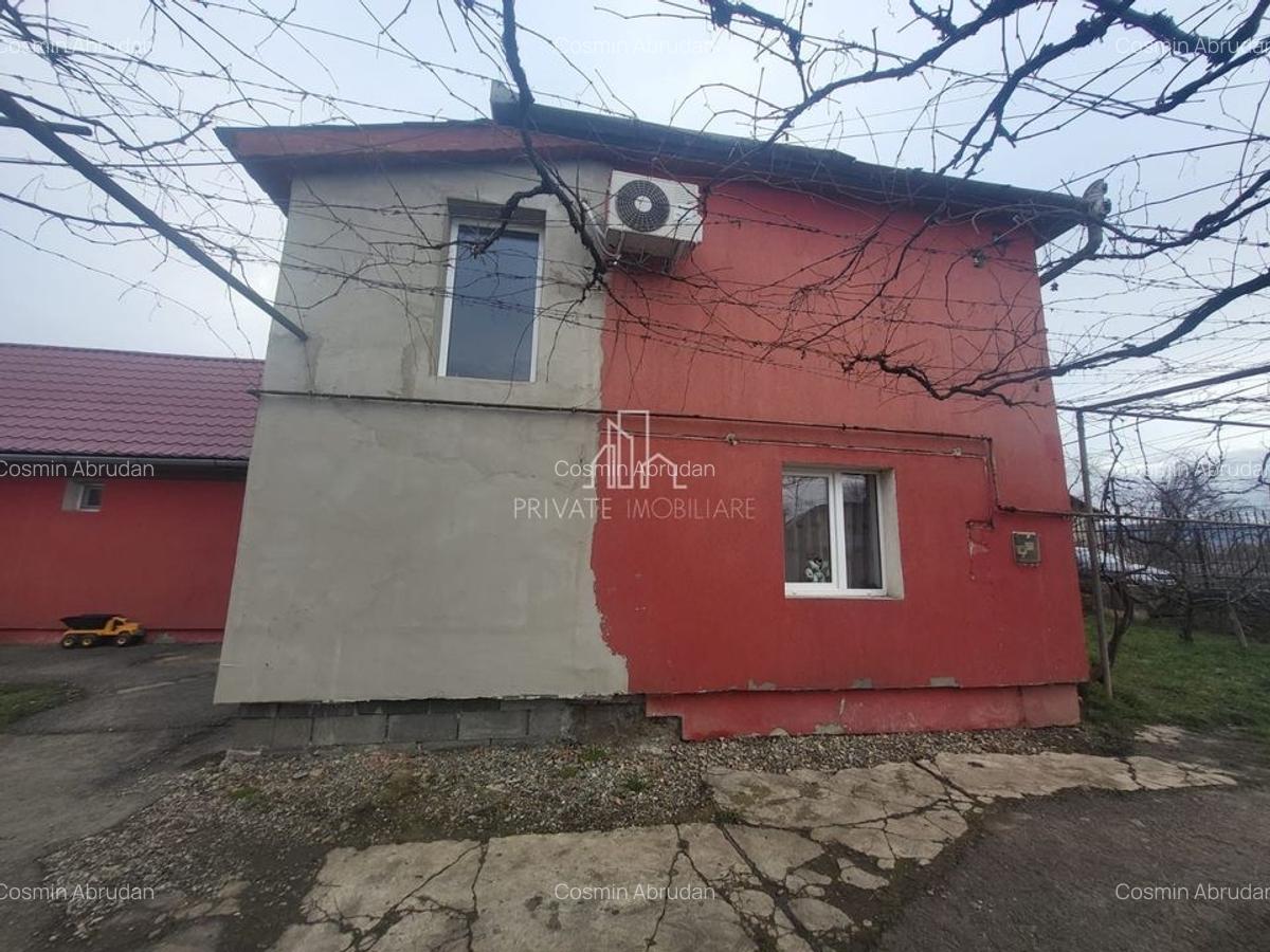 Casa de vanzare, 500Mp, Albesti, Mures - 2