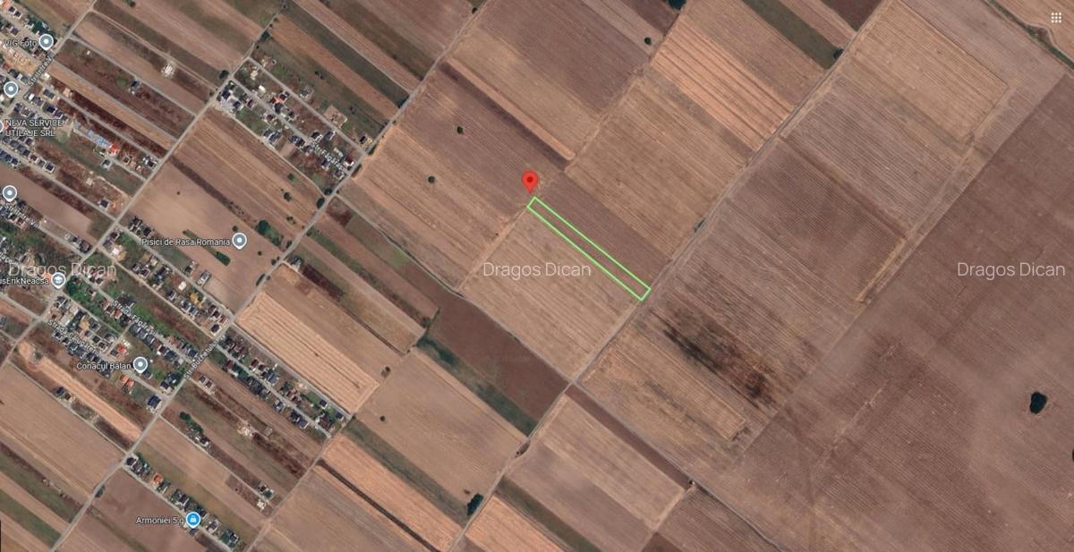 Teren Extravilan In Rate Primaverii Com. Berceni | 5901mp | #EG40 - 1
