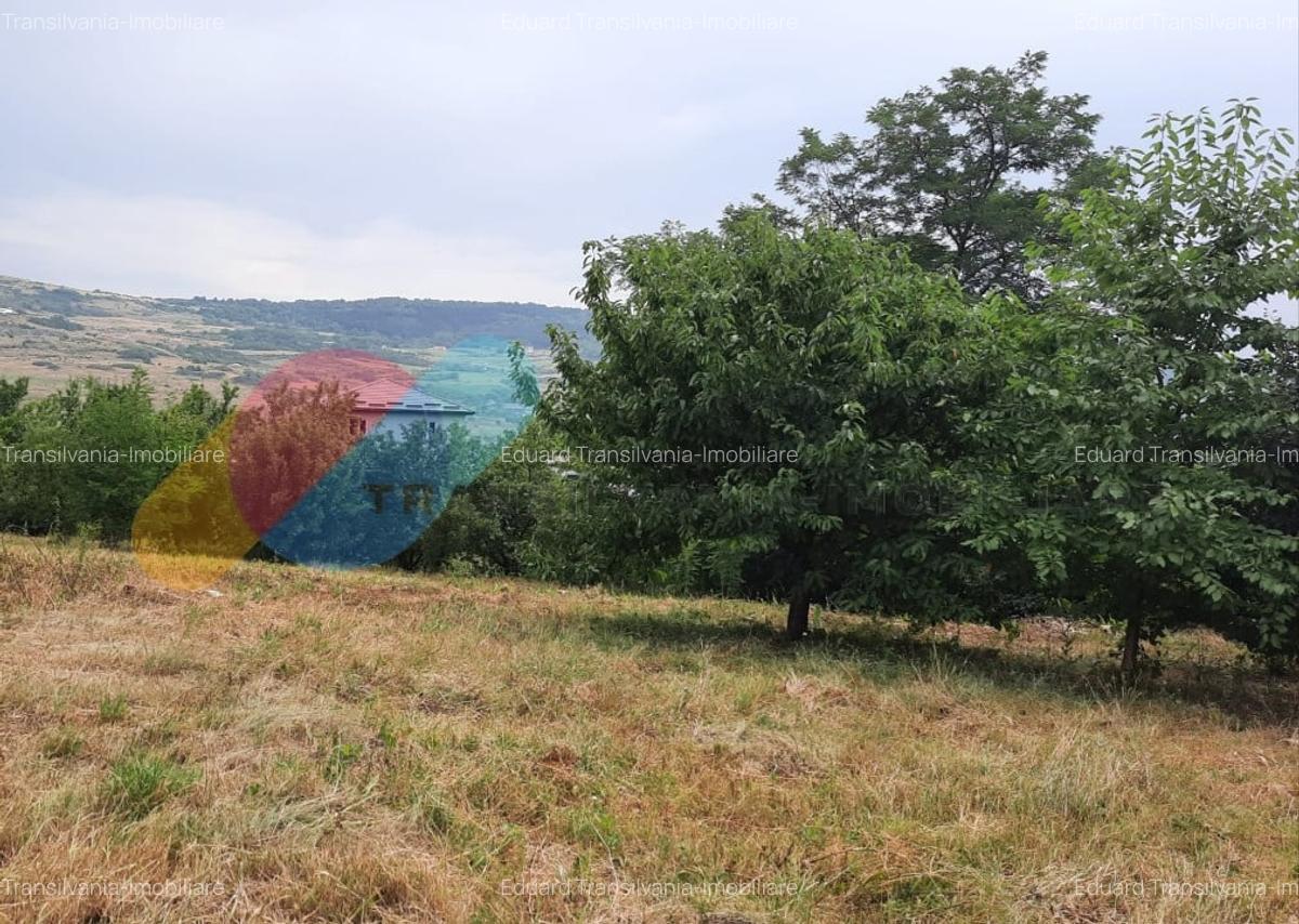 Teren intravilan, 2000 mp, Valea Chintaului - 2