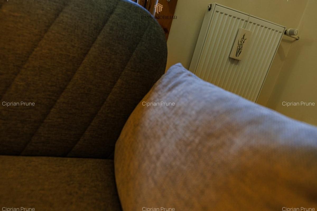 Apartament cu terasa si boxa, in Palatul Adolf Hanecker | Mal Bega - 49