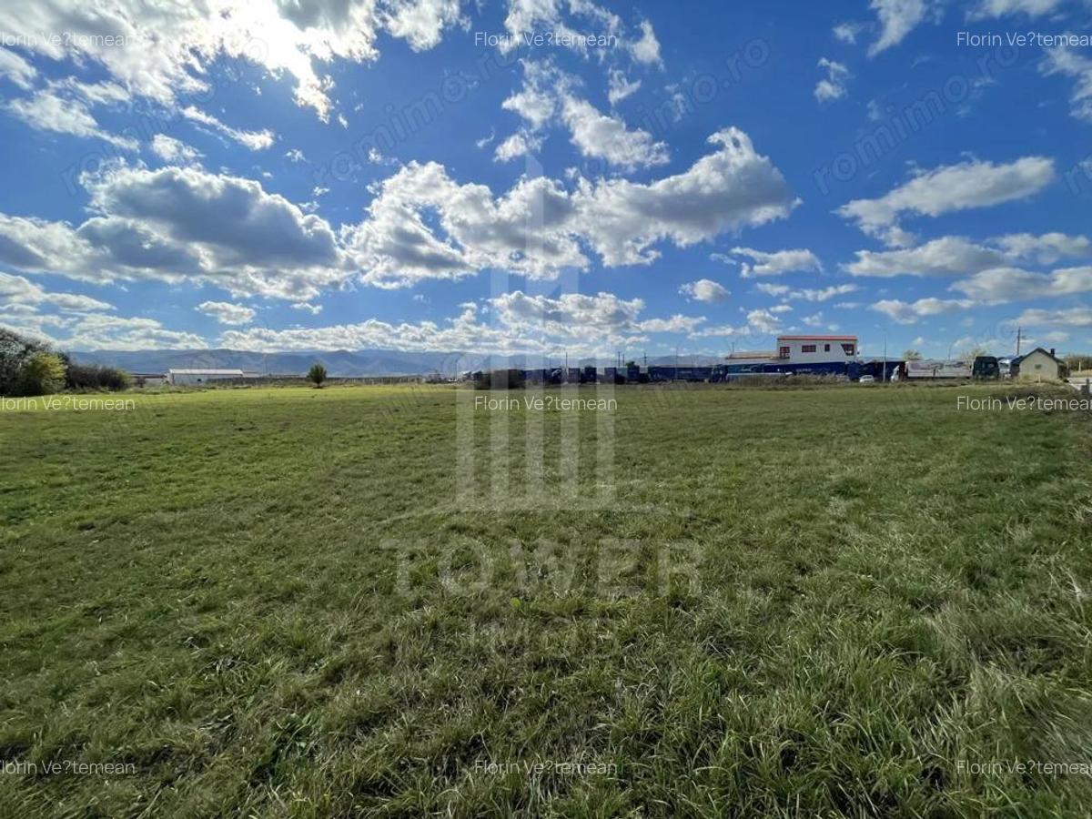 Teren industrial de vanzare in Cristian 6.000 mp, deschidere la drum asfaltat - 1