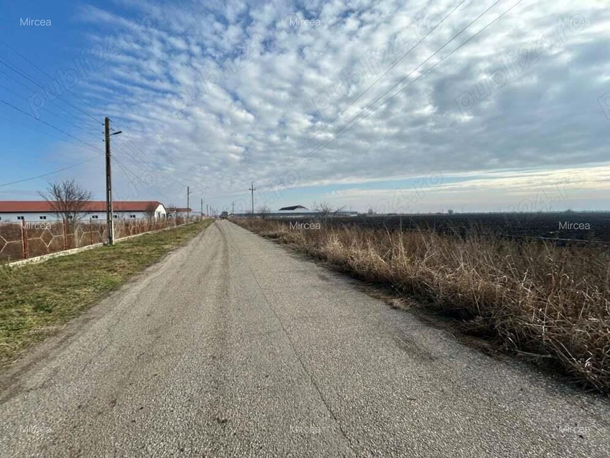 Vand teren intravilan,zona industriala,st.16,8 ha. + 8 ha.agricol,in Sanicolau Mare, la DN6,la sosea - 5