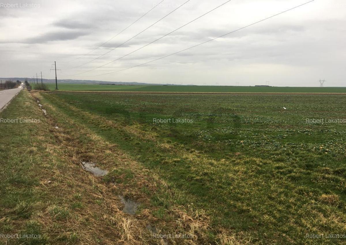 Reco Teren Intravilan in Chiribis - 3