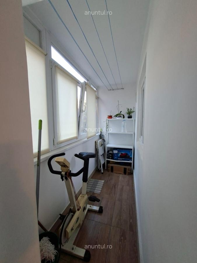 Obor Colentina, Teiul Doamnei, langa Sectia 7 Politie - 2