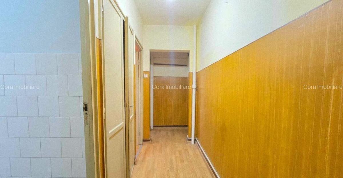 Ap 3 cam tip T de vanzare str Razboieni - 12