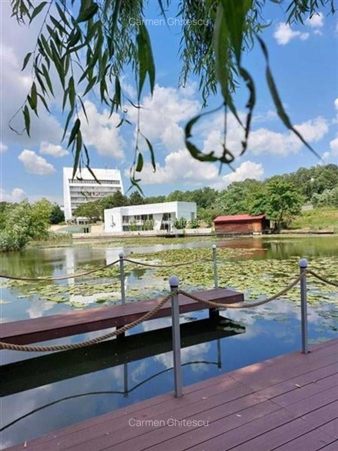 Vila de vanzare cu iesire (ponton) la lacul Snagov, in Izvorani - 4