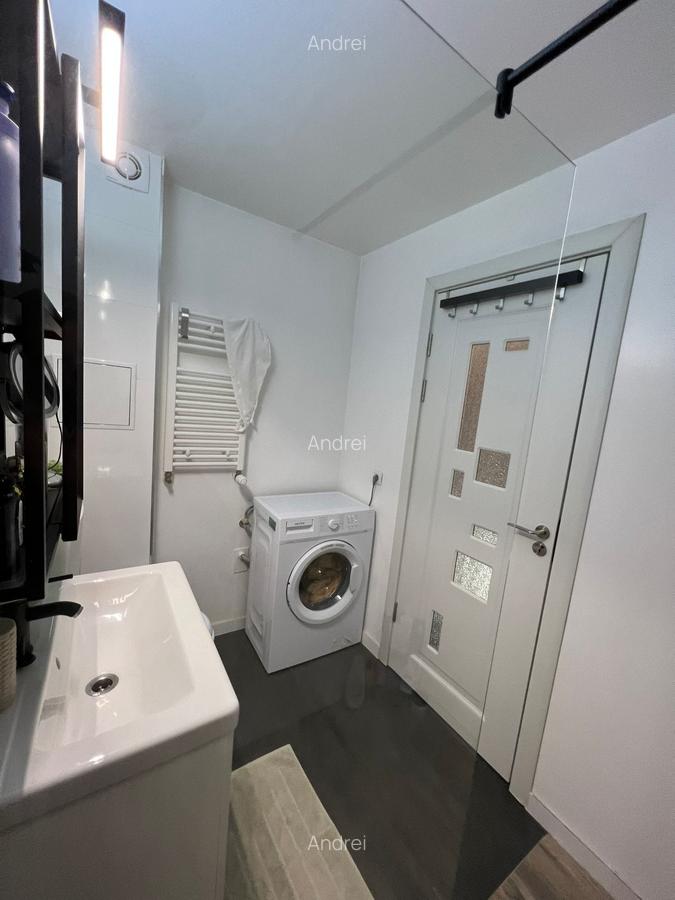 Cartier Brancusi ANL Coloana infinitului - 10