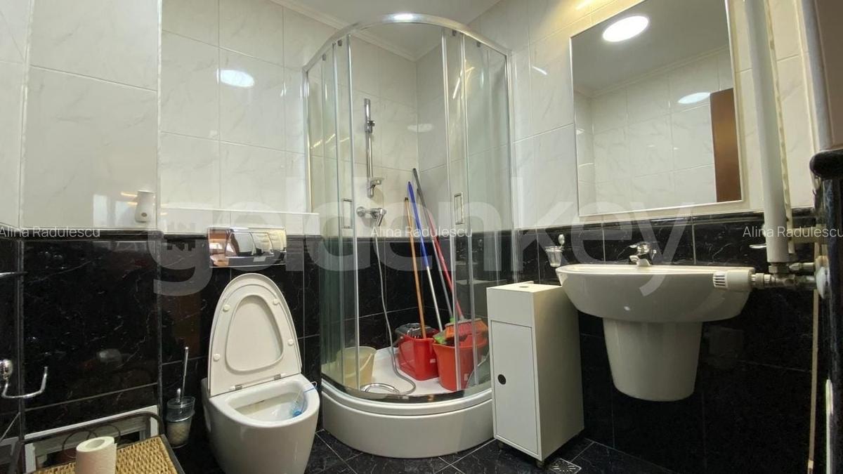 Apartament cu 4 camere decomandat, mobilat în Kiseleff - 12