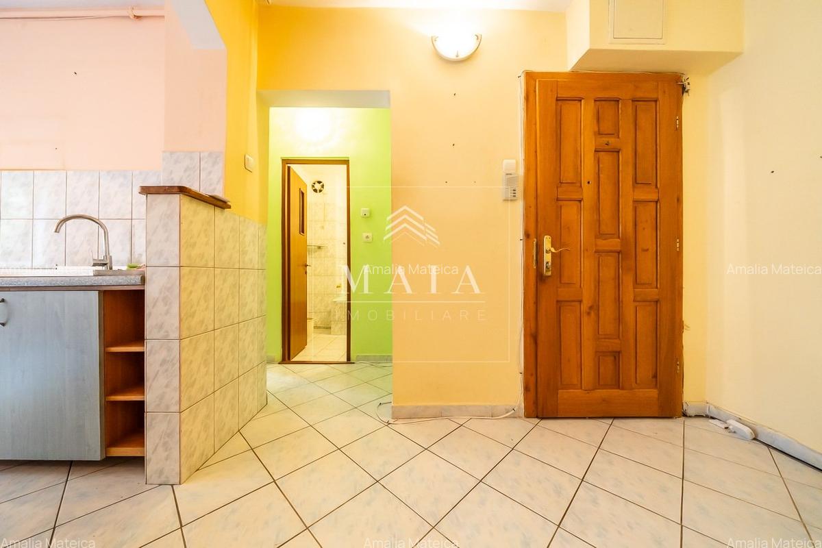 Apartament 2 camere, etaj 1, pivnita, Siretului - Calea Dumbravii - 8