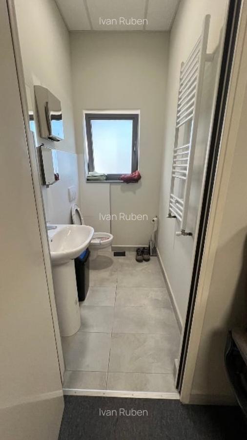 Hale de inchiriat Timisoara, Giarmata - 9