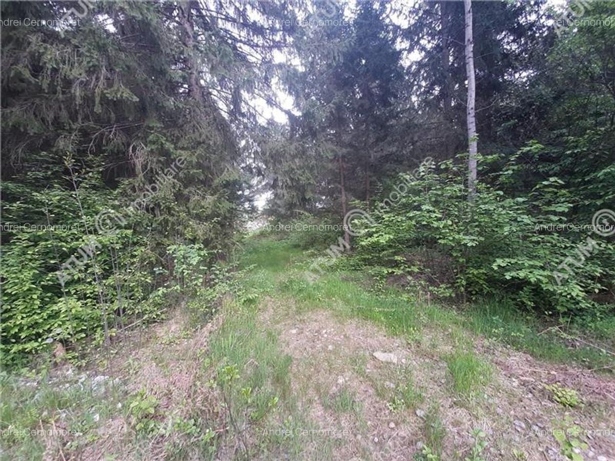 Teren intravilan de vanzare in Avrig zona Valea Avrigului - 2