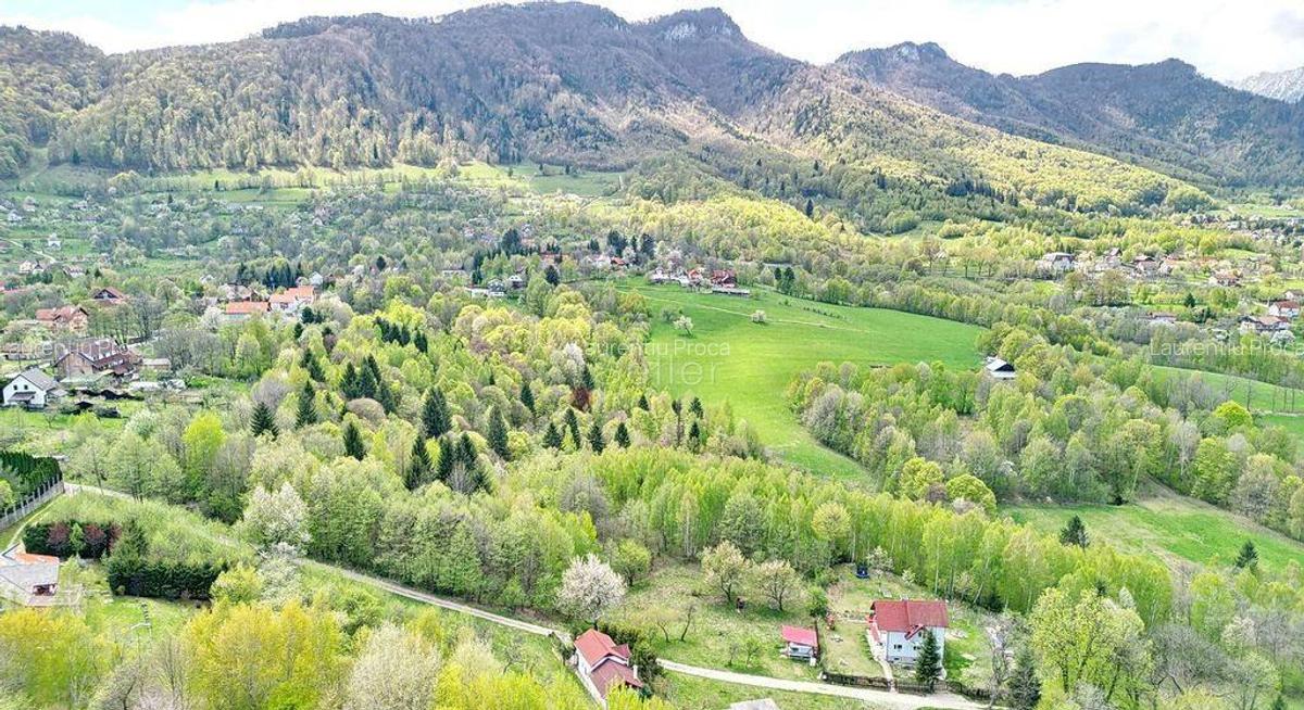 Teren intravilan Bran- Predelut - 3