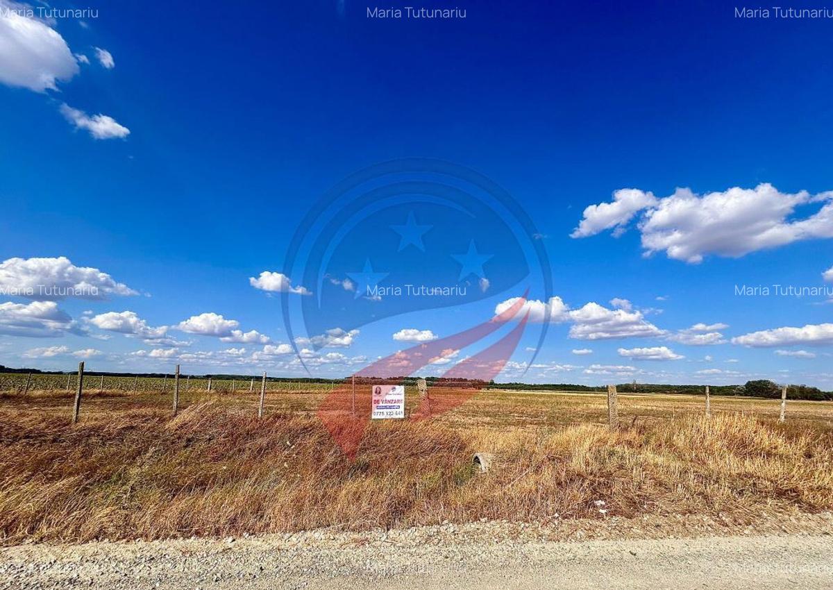 Teren 30.500 mp de vanzare in Livezi, Dolj - 1