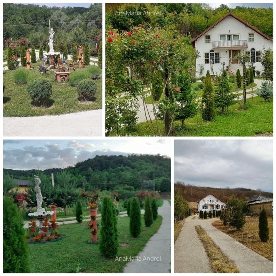 Casă cu 7 camere în Mălureni - 1