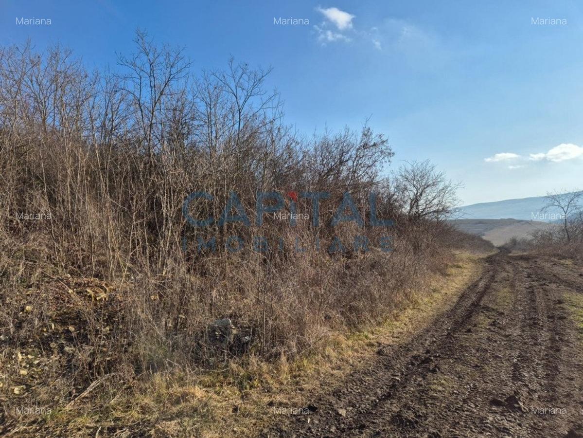 Teren intravilan, 1 000 mp, zona Tausor - 7