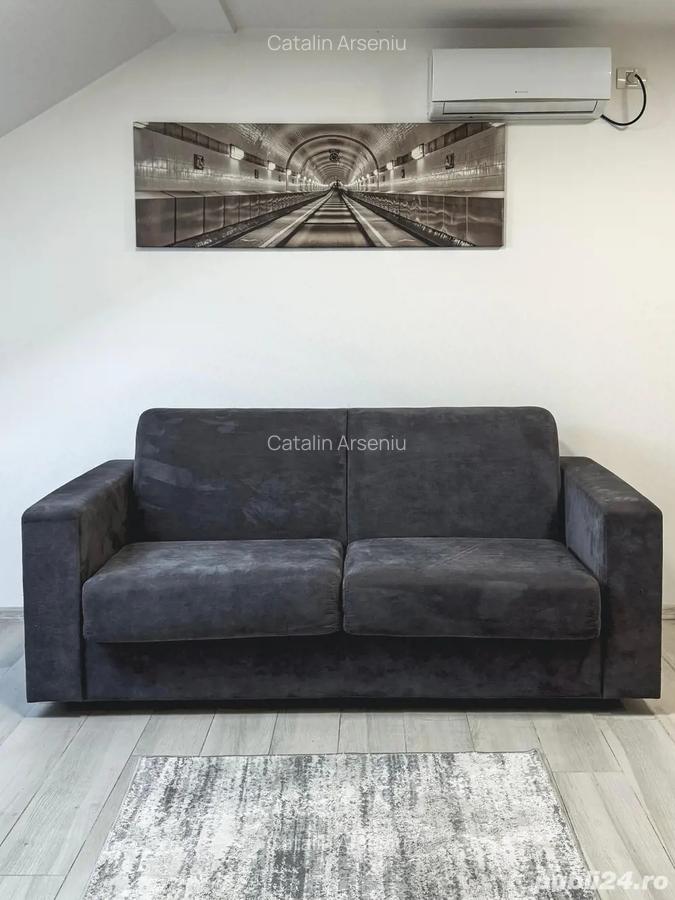 Ofer spre inchiriere STUDIO Modern si Primitor - 4