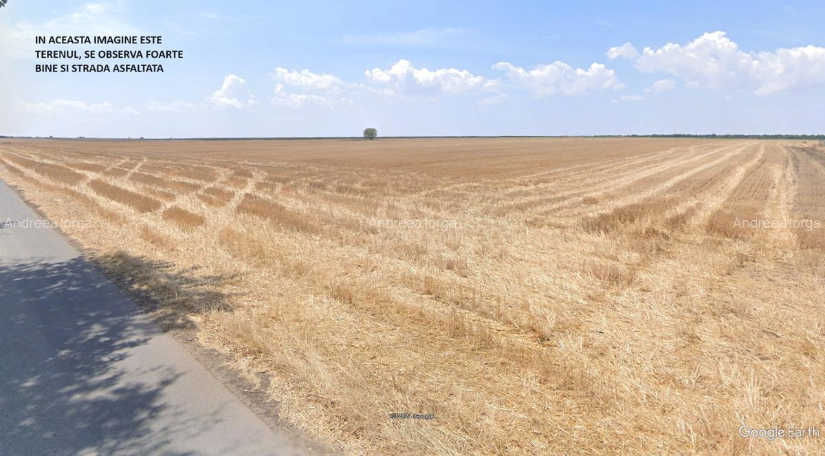 Proprietar - Teren de 40.000 mp Costinesti – în inima noii zone turistice - 2