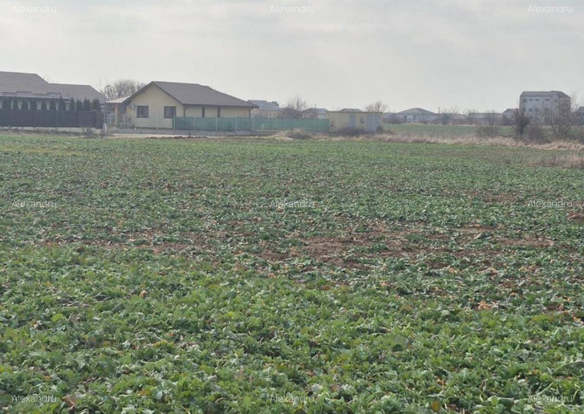 Teren intravilan Balotesti,langa ansamblul Terra si padure, 17000 euro - 6