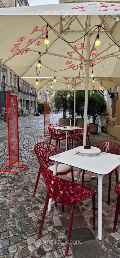 Spatiu comercial Calea Victoriei Centru Istoric 224mp pretabil horeca cafenea - 7 Spatiu comercial Calea Victoriei Centru Istoric 224mp pretabil horeca cafenea - 7