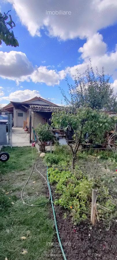 Casa 15 km de Timi?oara de vanzare - 16
