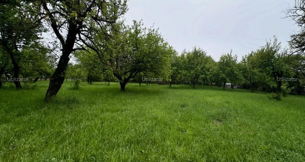 Vanzare teren intravilan-sat Selari,Arges - 4