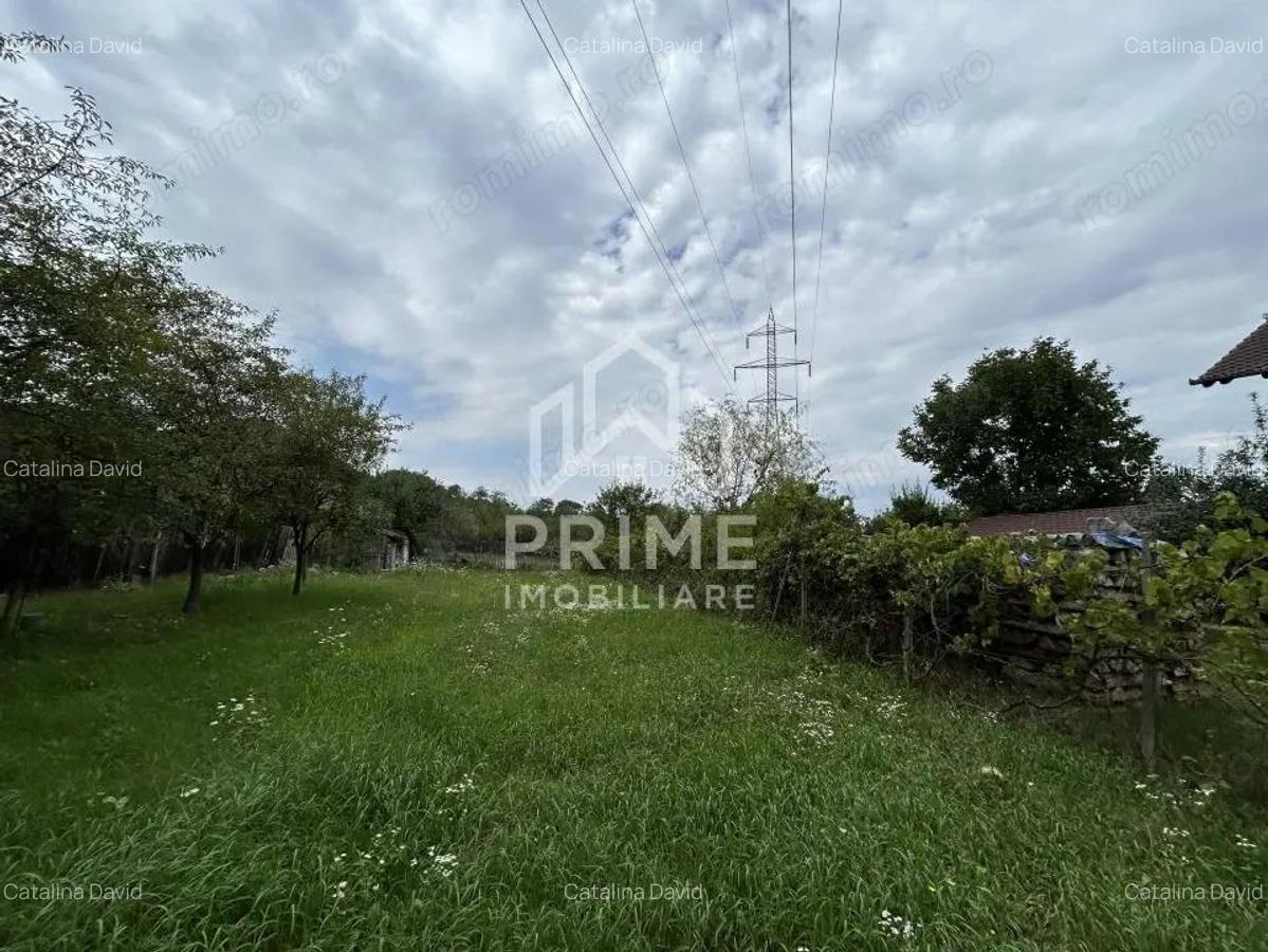 Teren extravilan , 1200 mp , zona cetate - 3