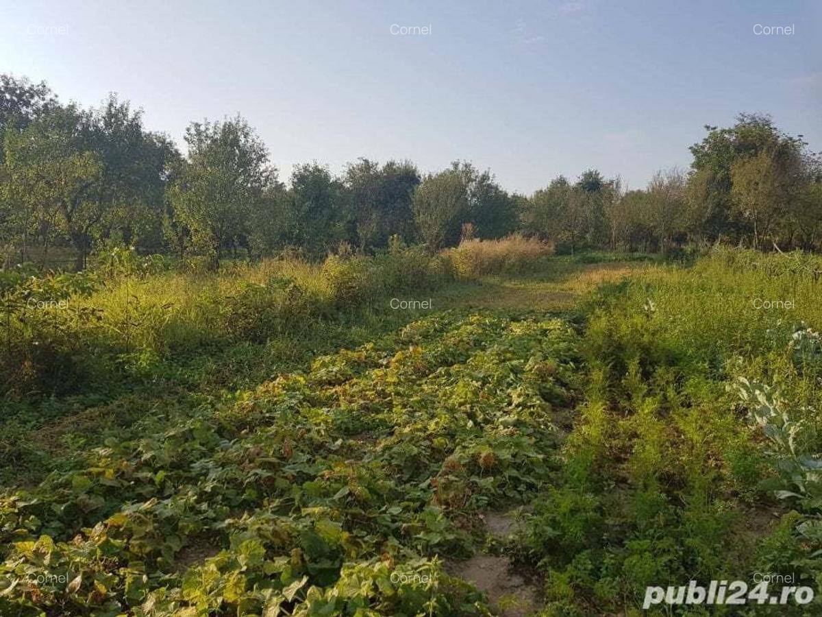 Vand casa, teren agricol si padure in Cheud - 2
