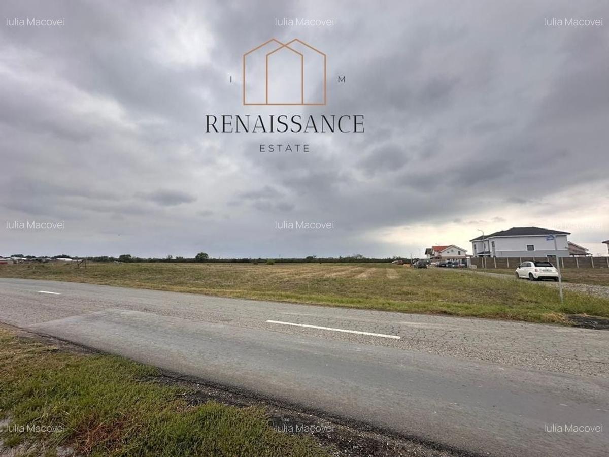 Mosnita Noua Teren 10.000mp | Front 63m | La asfalt - Zona de Case - 2