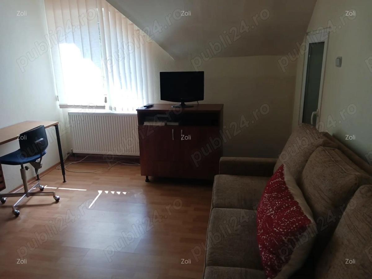 Casa frumoasa, ideala pentru 2 familii, zona linistita, localitatea Zizin, direct de la proprietar - 3