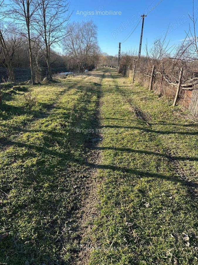 Teren intravilan in Delta -loc BALTENII DE JOS - 15