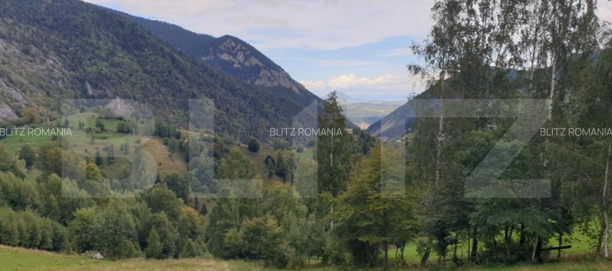 Teren 13.570 mp, Moieciu Pestera - 34