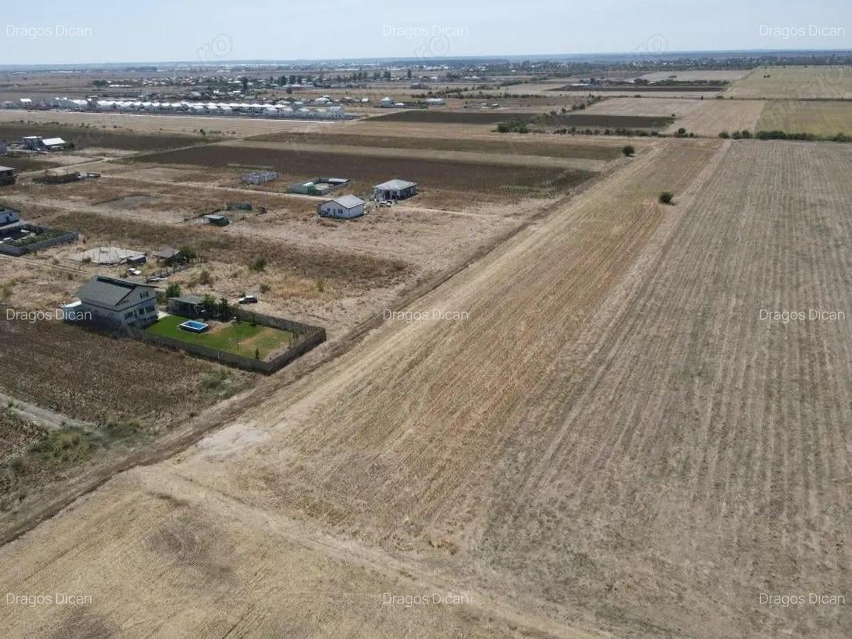 Teren Intravilan Com Berceni | utilitati: curent - gaz | #MG14E - 5