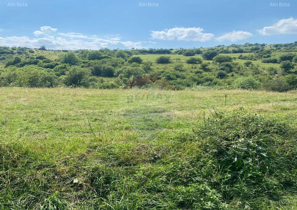 Teren de vanzare 8,700 mp Tarlungeni, comision 0 cumparator - 8