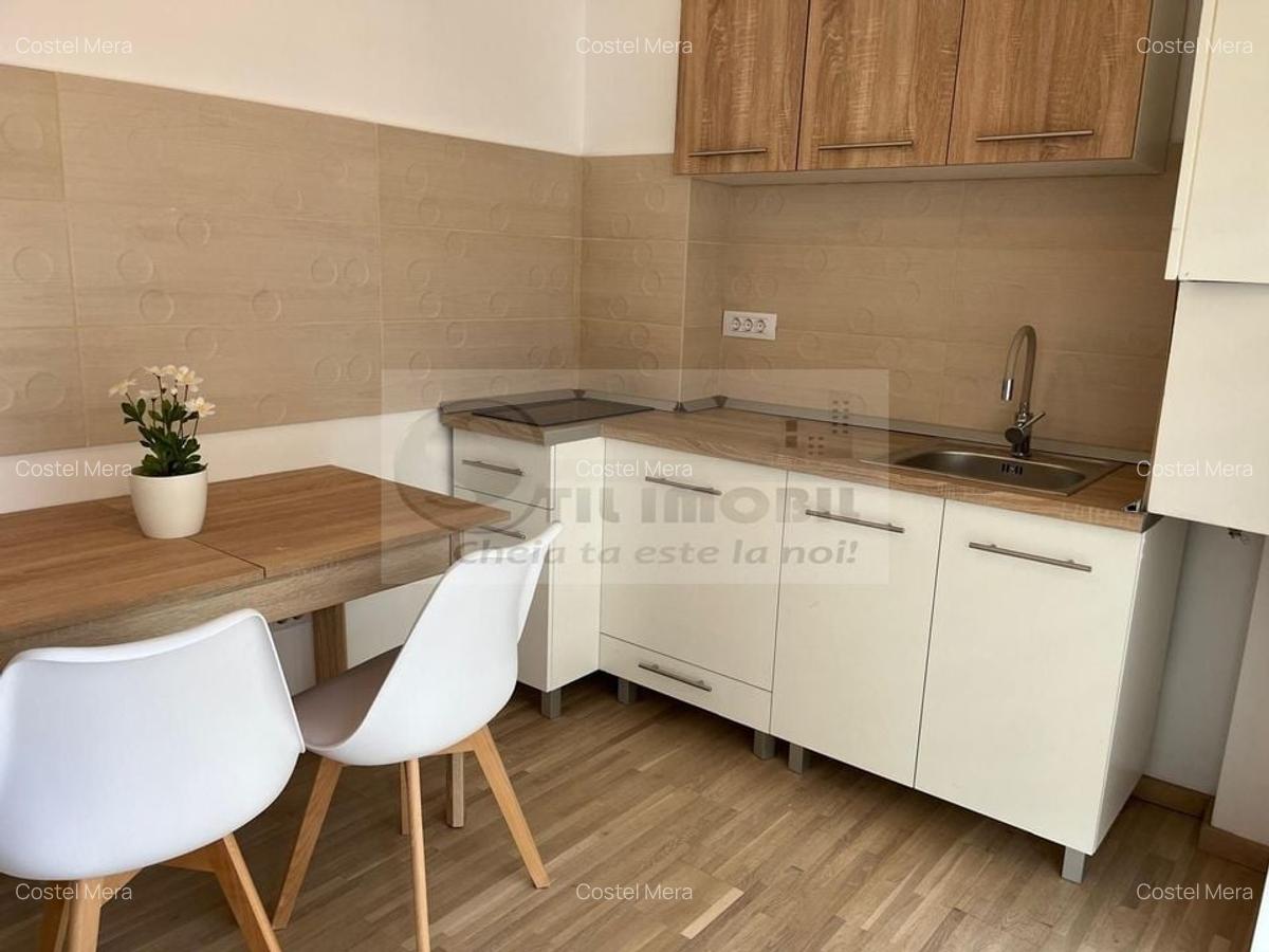 Apartament 1 Camera Bucium - 350 euro - 4