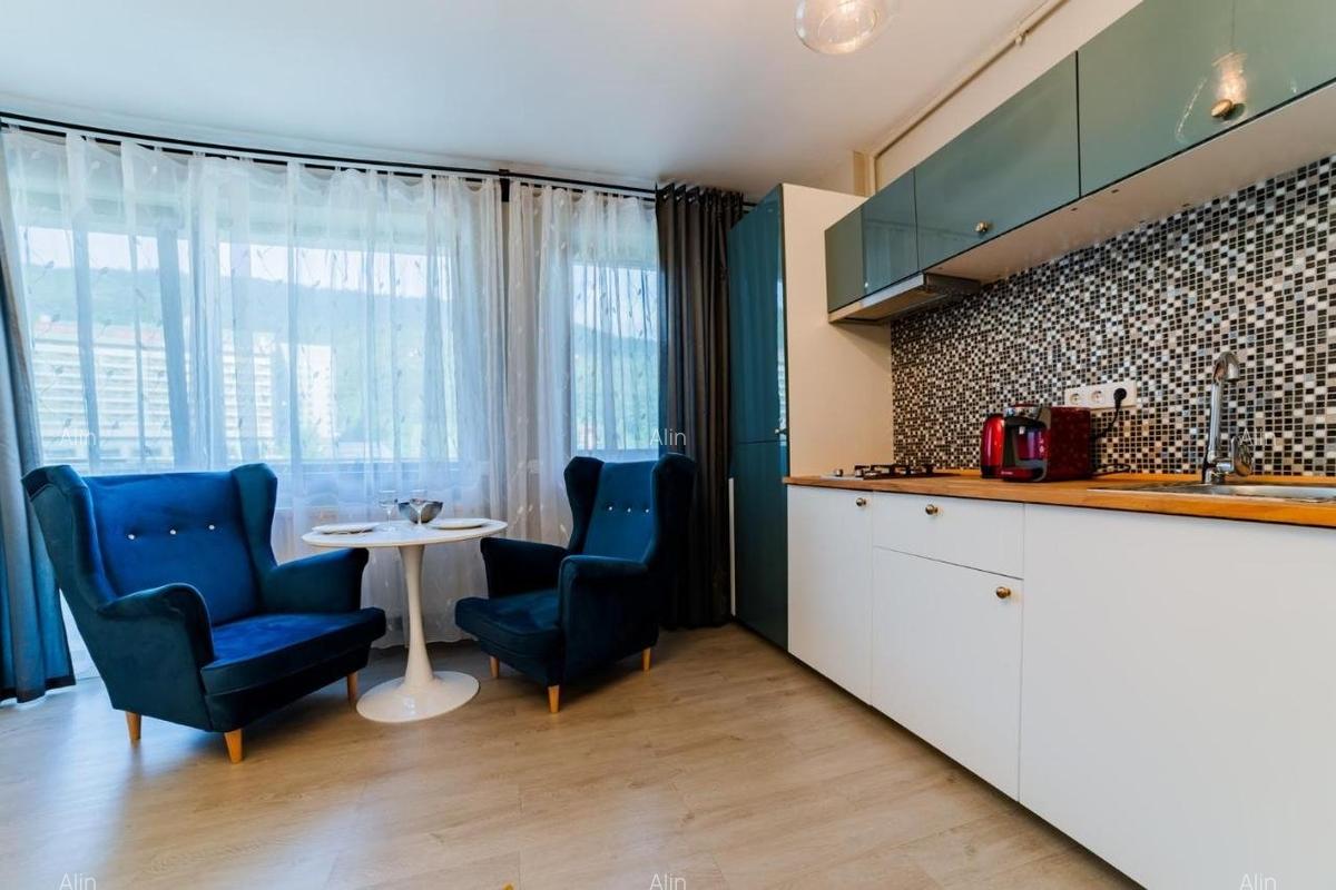 Studio de lux Colina Marei - 5