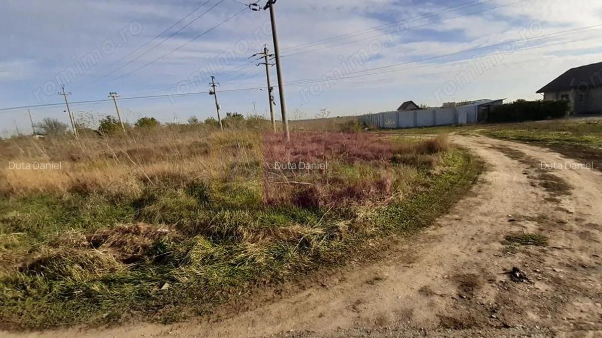 Teren la Asfalt cu utilita?i alaturi (Curent & Gaz) langa Bucure?ti - 12