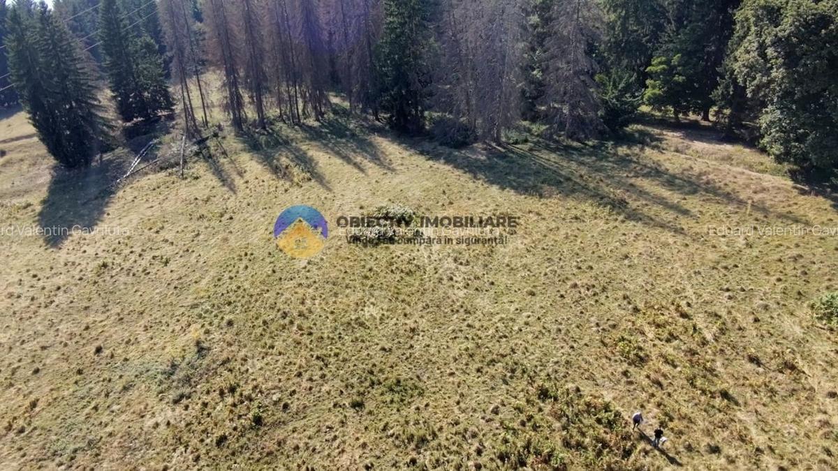 Teren de vanzare 5000 mp - Piatra Neamt - 4