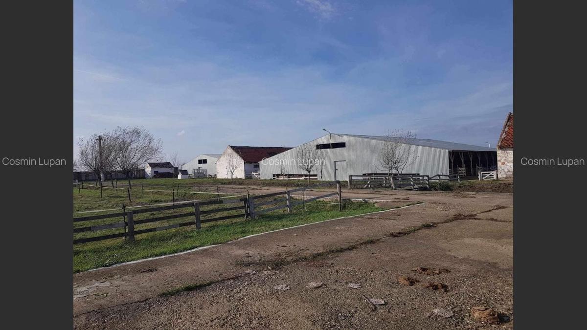 Ferma langa Oravita 5600 mp construiti si teren 24281 intravilan - 4