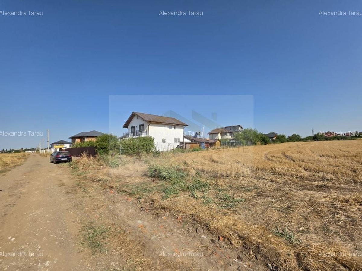 Teren intravilan 5.450 mp - Strada Castanilor, Ciorogârla - zonă rezidențială în - 2