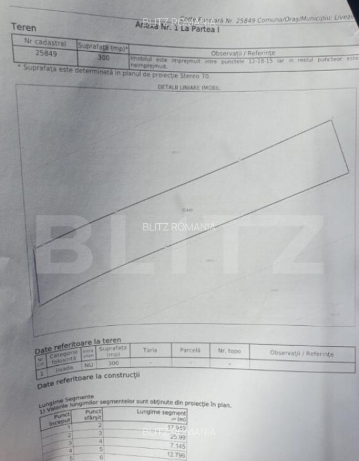 Teren 300 mp + Cabana,zona Livezile,Valea Lunga - 11