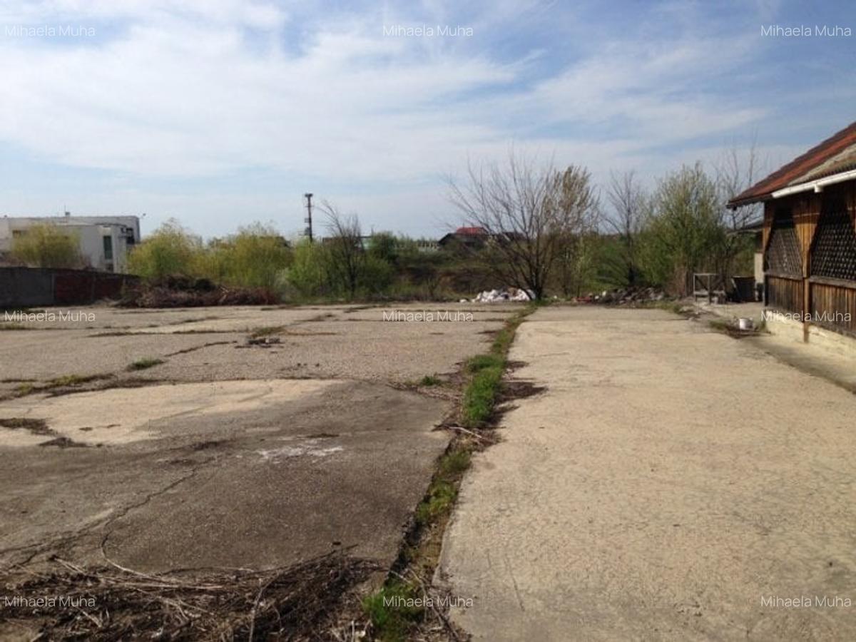 Vanzare teren Snagov Vladiceasca - 6