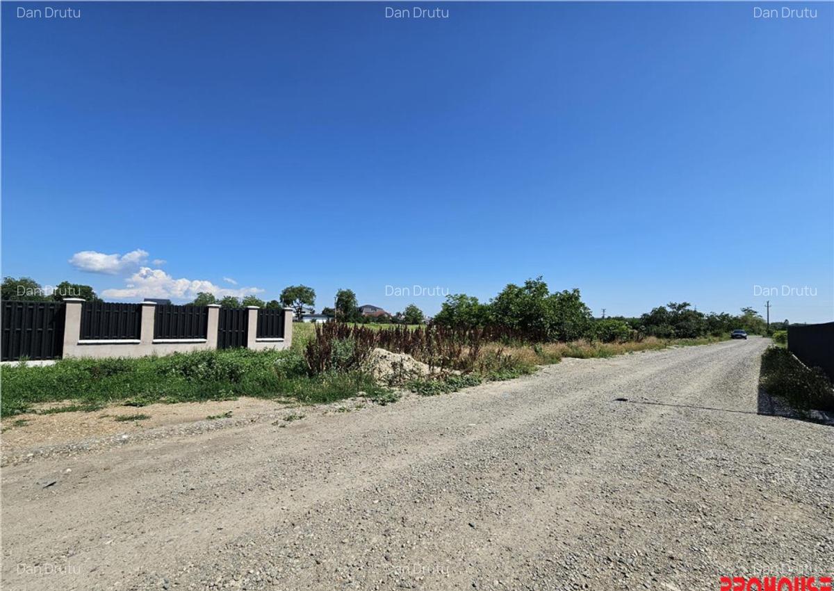 Teren intravilan, 1.600 mp, Serbanesti (LIDL) - 5
