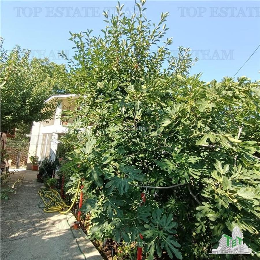 Vila P+de vanzare, 3 camere, foisor, garaj, teren 612 mp Militari - 1