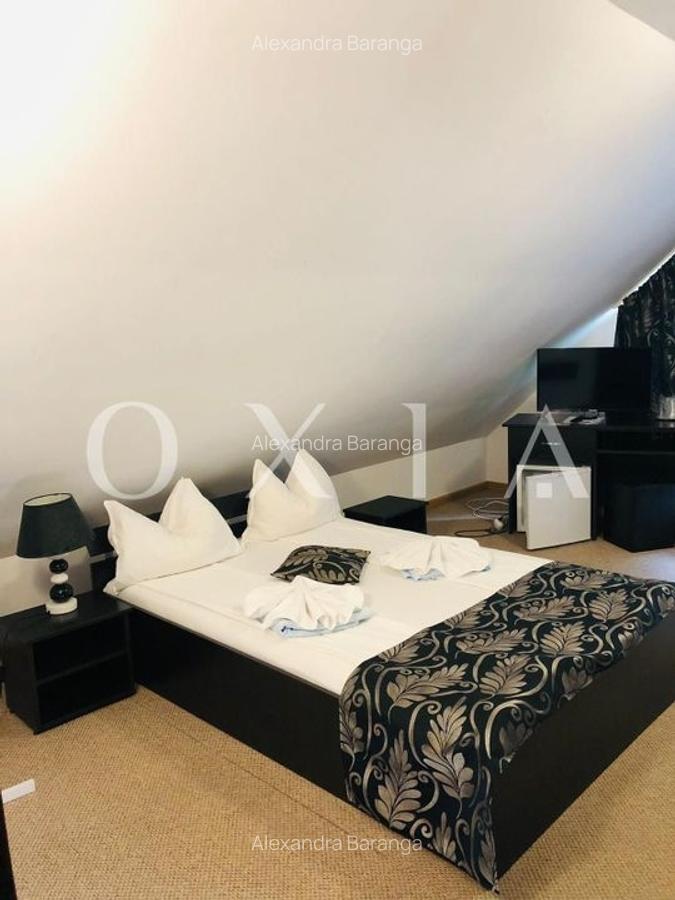 AX949 Pensiune Exclusivista In Inima Statiunii Sovata - 21