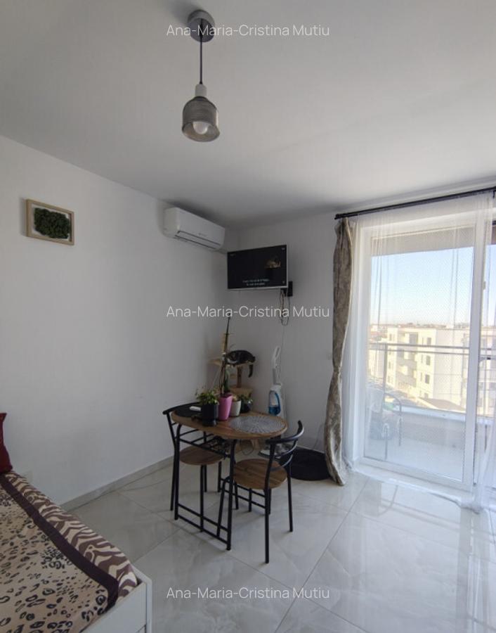 Apartament cu o camera Giroc Braytim - 8