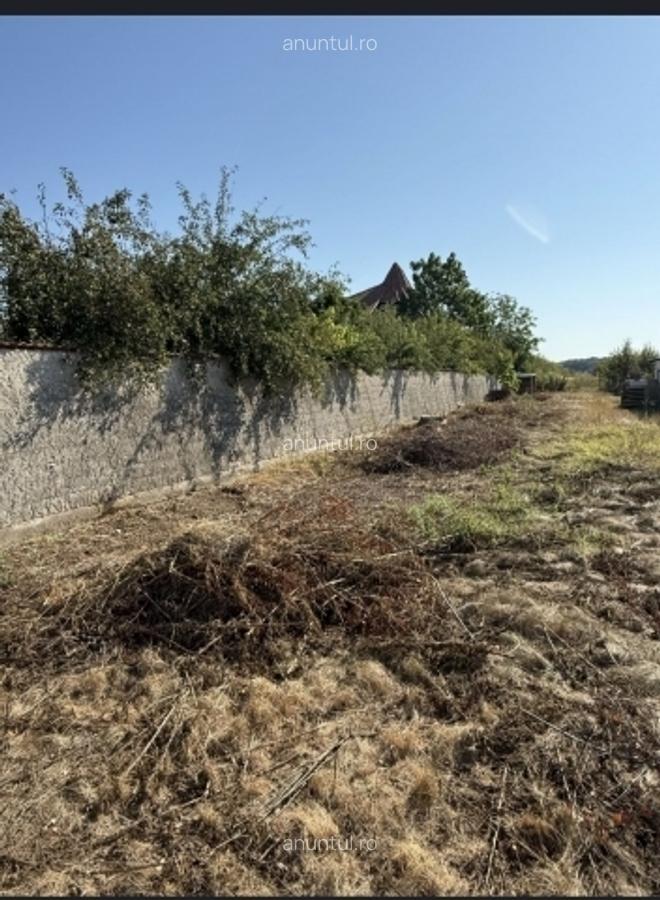 Prahova Teren de vanzare in Potigrafu, deschidere 9ml, 2500mp, 40.000euro - 1