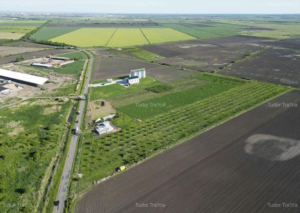 Livada de nuci ?i pruni 2.4ha in Varia?ul Mare - 12