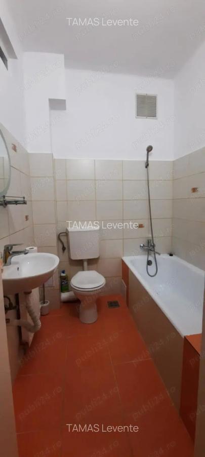PF Inchiriez Ap 1 Cam str.Horea Centru - 9