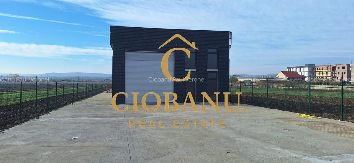 Hala de vanzare in Racari de Jos - 2